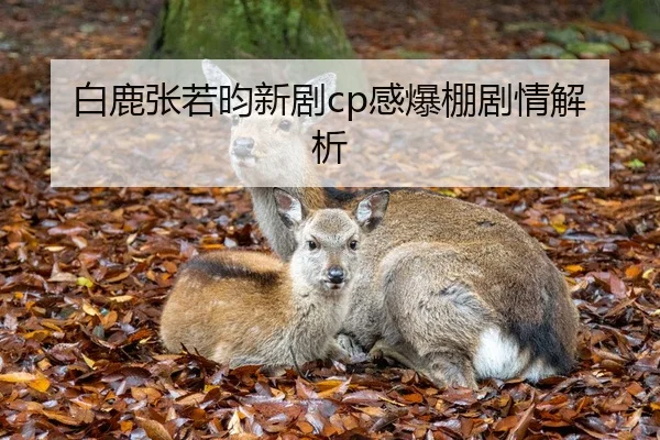 白鹿张若昀新剧cp感爆棚剧情解析