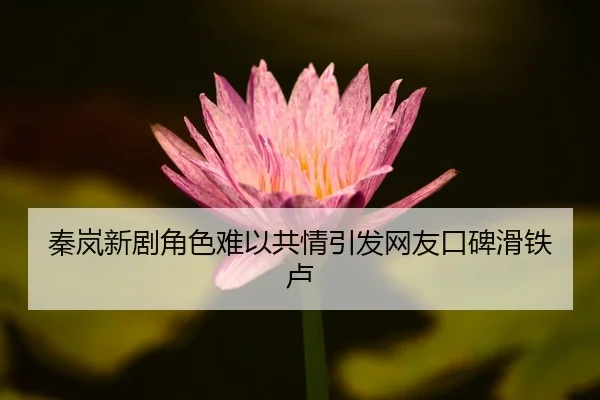 秦岚新剧角色难以共情引发网友口碑滑铁卢